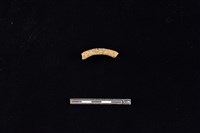 陶環藏品圖，第1張